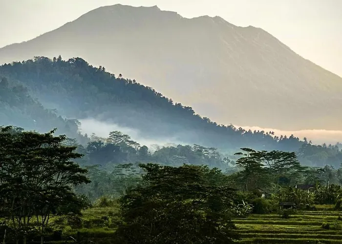 Saraya Bali