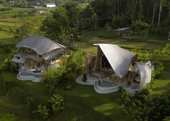 Saraya Bali *