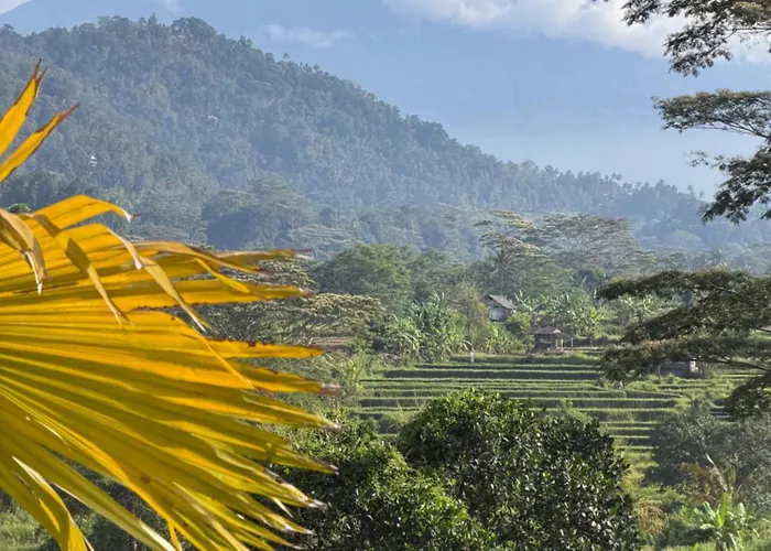 Saraya Bali 度假村